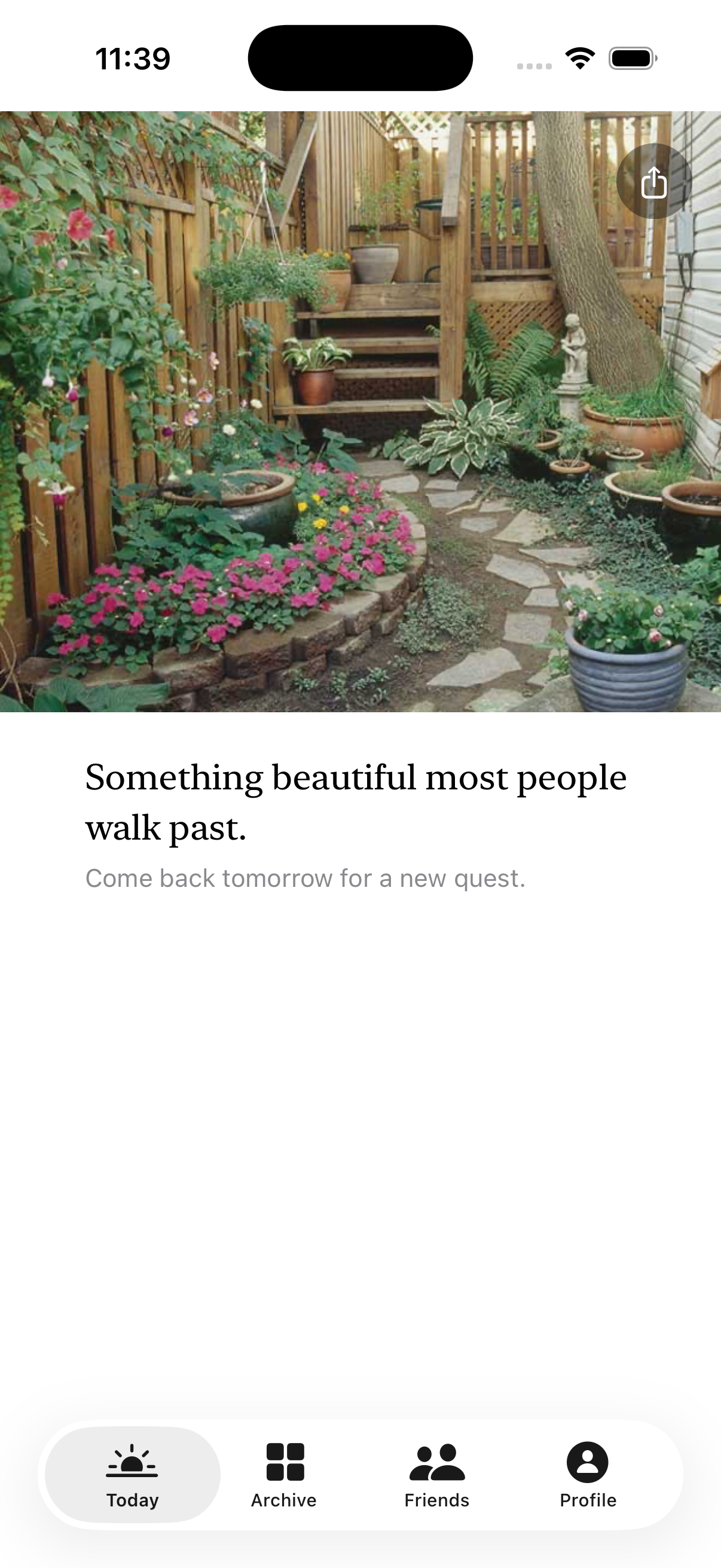 Something beautiful most people walk past